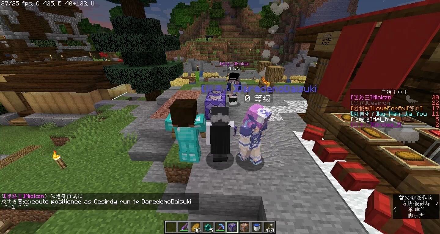 领域服整蛊兄弟片段